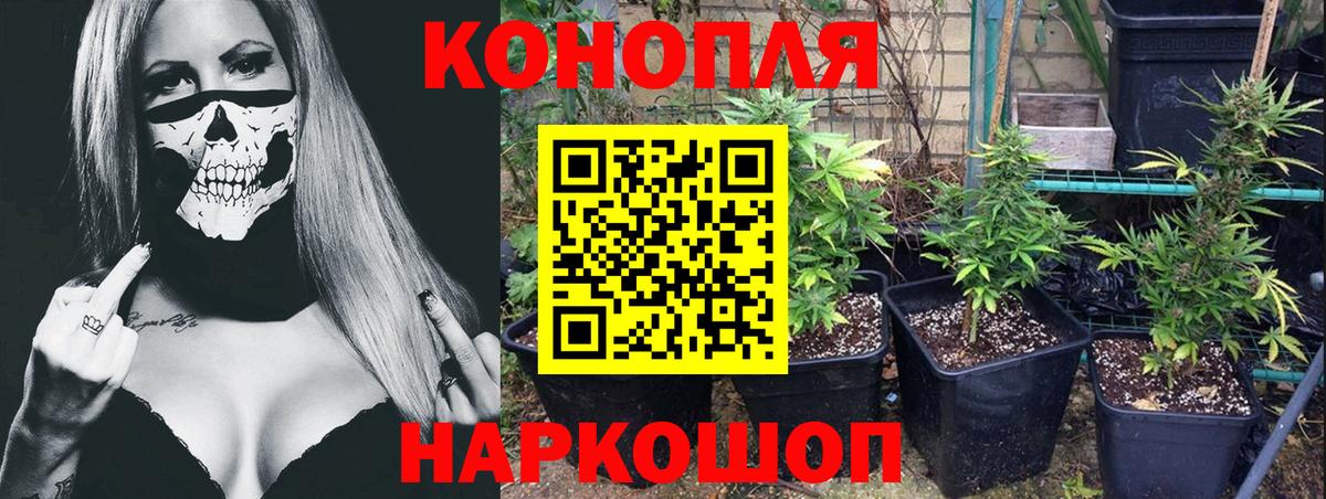 Каннабис White Widow  Бошки марихуана THC 21%  Канабис OG Kush  Вход с VPN  Еманжелинск 
